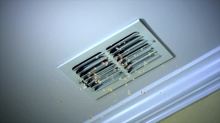 Best Professional Duct Cleaning Services  in Stonewall, LA