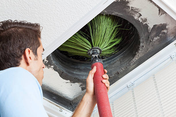 Best Dryer Vent Cleaning Services  in Stonewall, LA